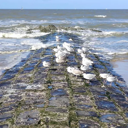 Seaside4you Σπίτι διακοπών